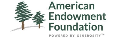 American Endowment Foundation
